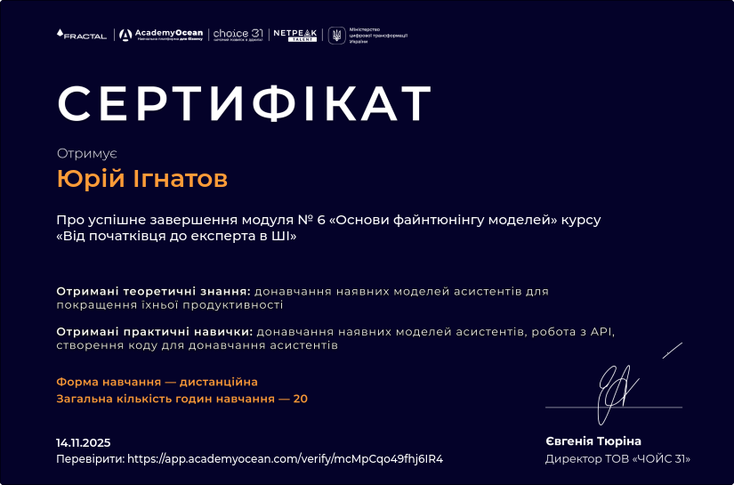 Основи файтюнінгу моделей